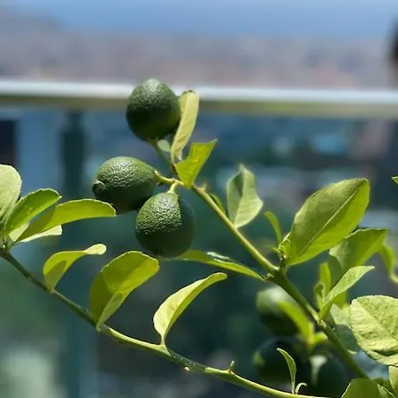 빌라 Villa, Alanya, Antalya *
